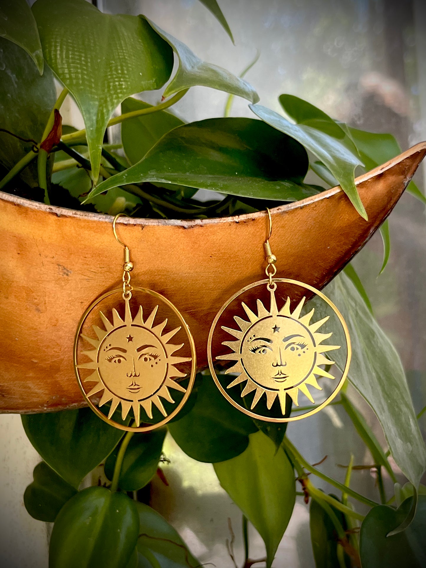 Ring Around the Sun